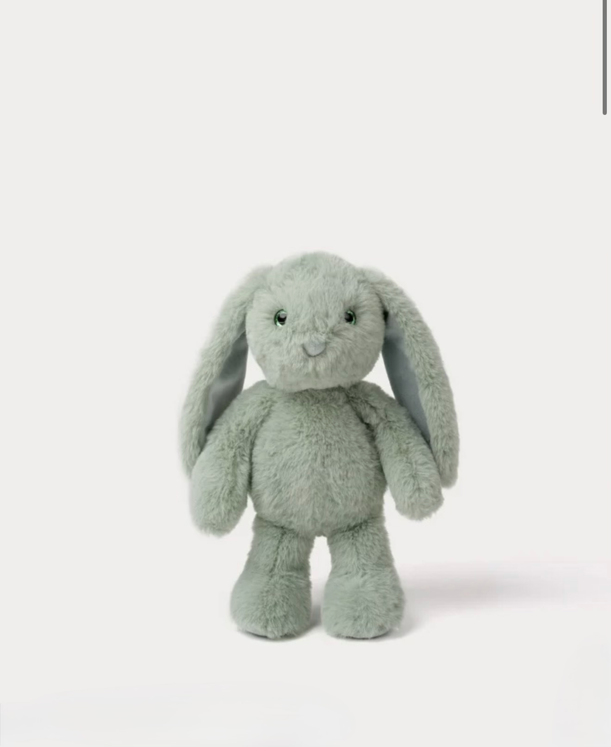 Blooming Bunny, Ivy
